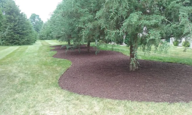 The Lawn Barber lawn care project