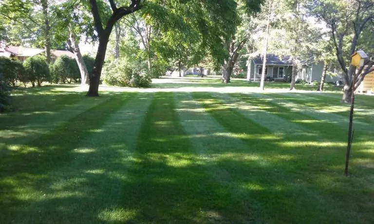The Lawn Barber lawn care project