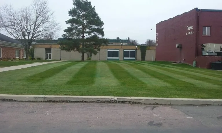 The Lawn Barber lawn care project