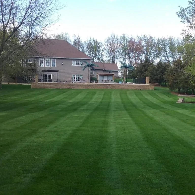 The Lawn Barber lawn care project