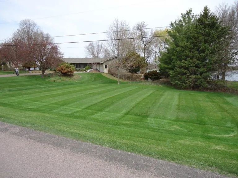 The Lawn Barber lawn care project