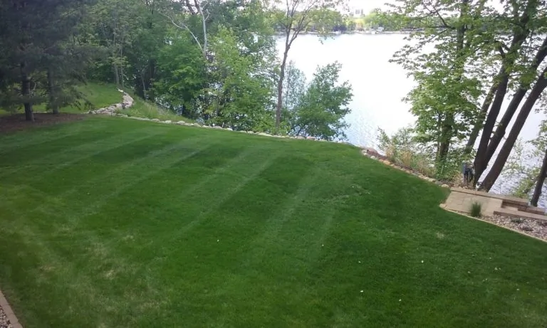 The Lawn Barber lawn care project