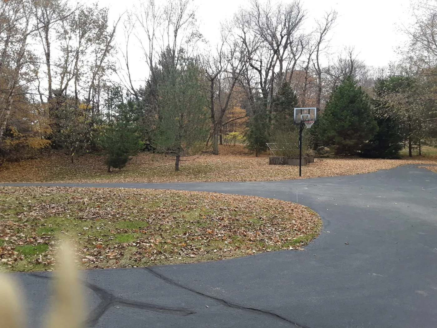 20191105_115901 fall cleanup