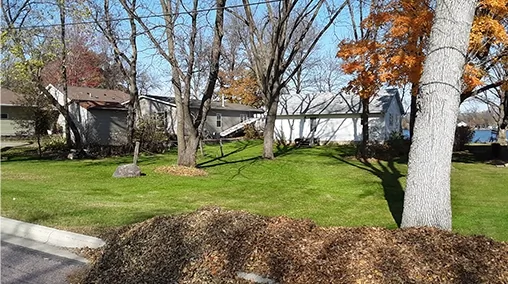 seasonal leaf cleanup Seasonal Leaf Ceanups