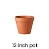 12 inch pot
