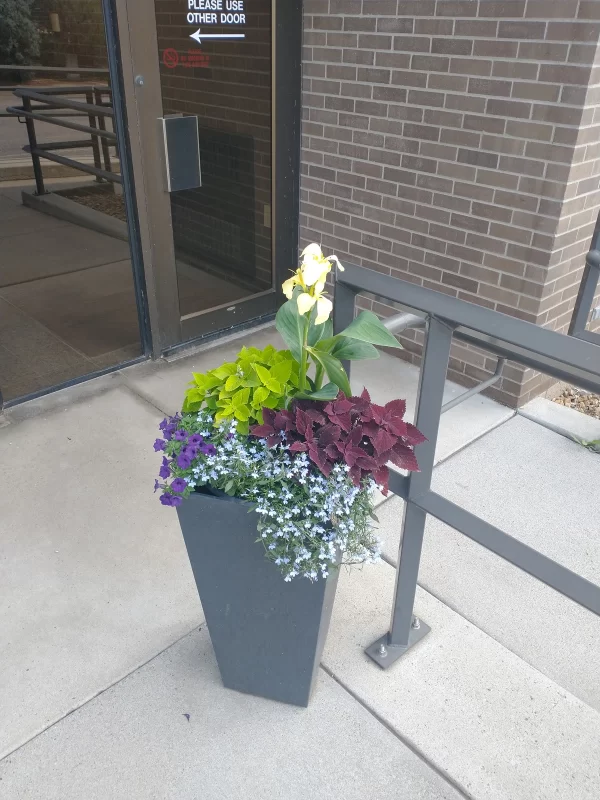 Planter Delivery Subscription - Image 2