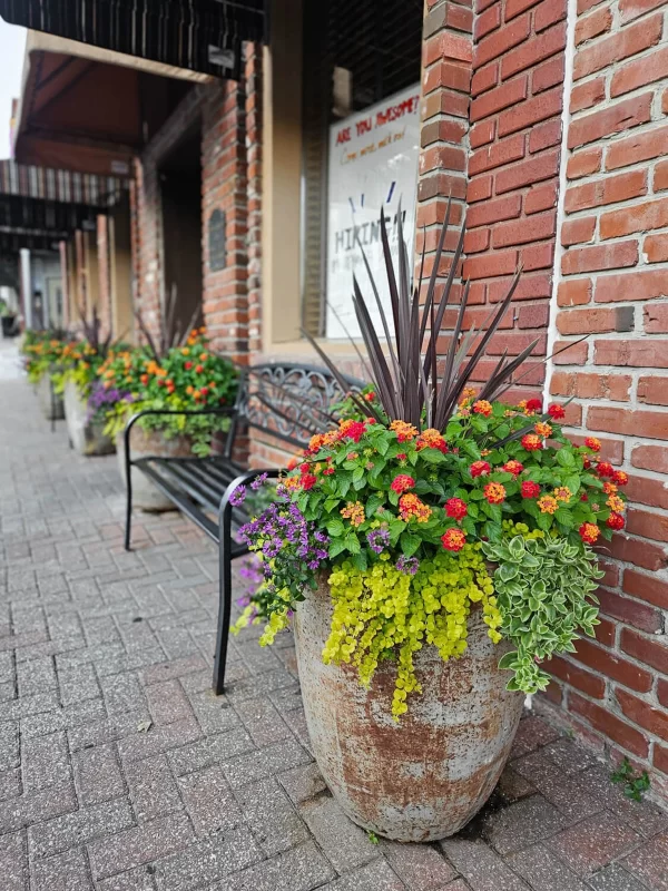 Planter Delivery Subscription - Image 3