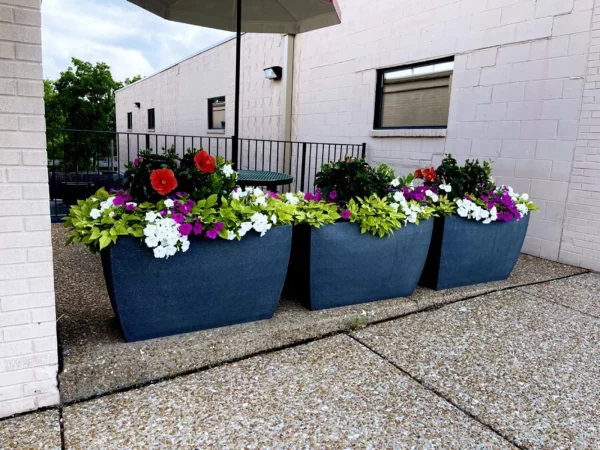 Planter Delivery Subscription - Image 4