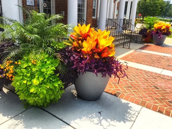 Planter Delivery Subscription - Image 5