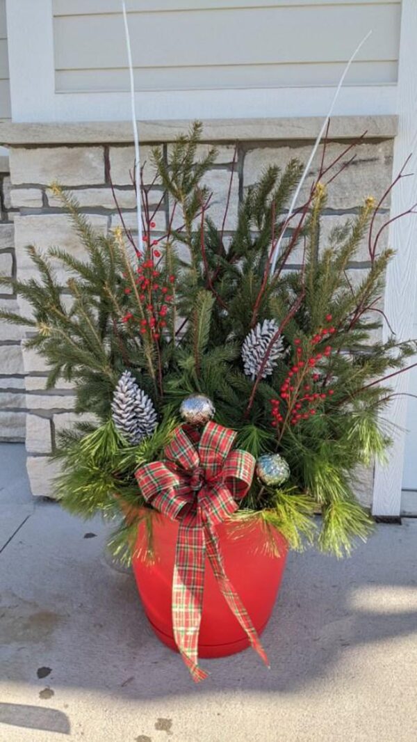 Planter Delivery Subscription - Image 14