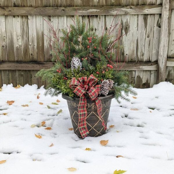 Planter Delivery Subscription - Image 16