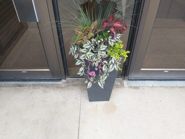 Planter Delivery Subscription - Image 9
