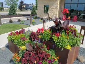 Planter Delivery Subscription