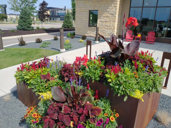 Planter Delivery Subscription