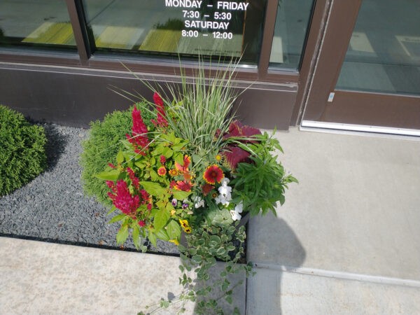 Planter Delivery Subscription - Image 18