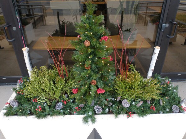 Planter Delivery Subscription - Image 19