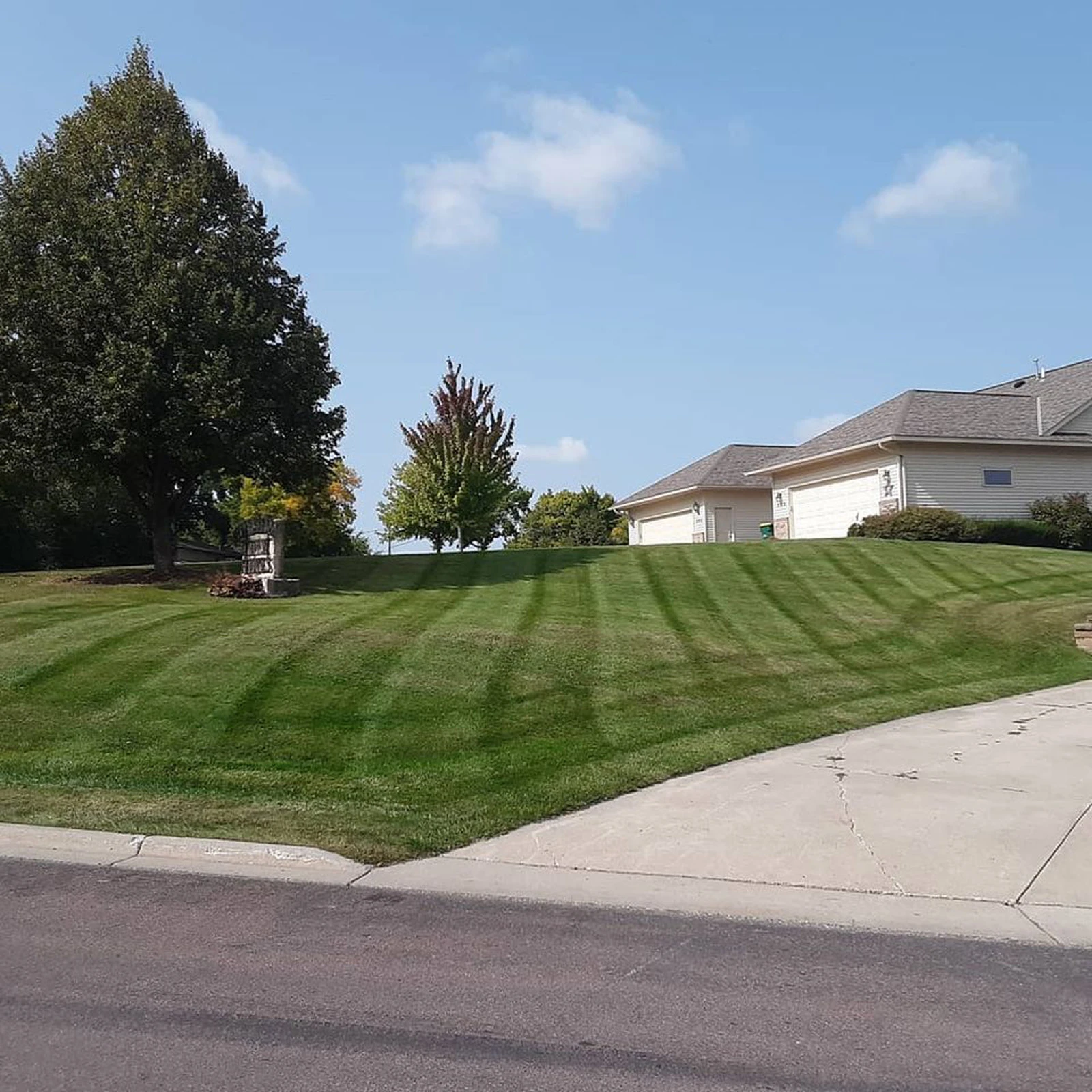 Lawn Maintenance